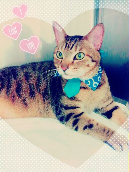 ４╱９トリミング写真　ナッキー