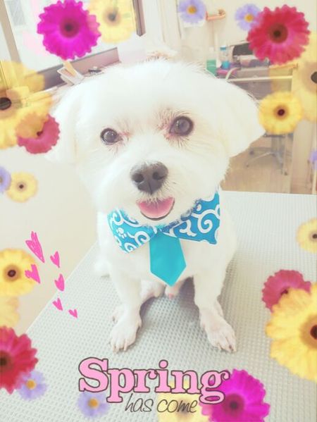 ４月１３日トリミング写真カンタ