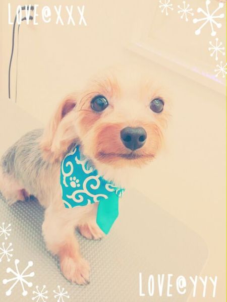 ４月１３日トリミング写真ピース