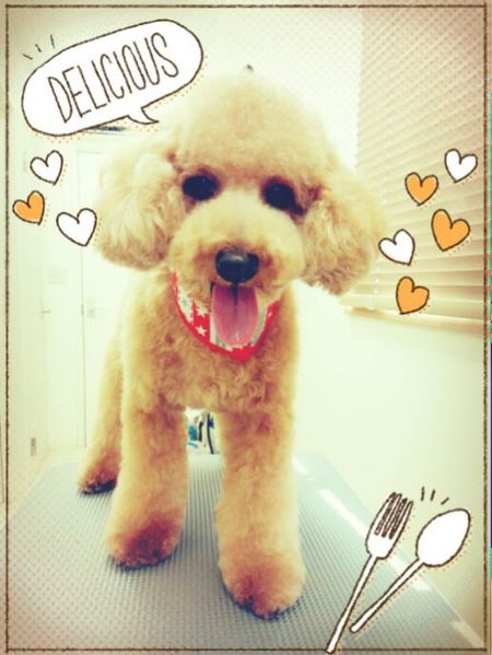 ４月１９日トリミング写真茶太郎