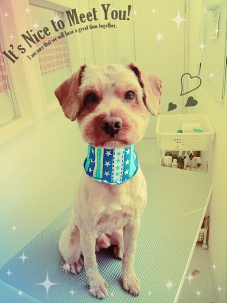 ４月２２日トリミング写真ムー