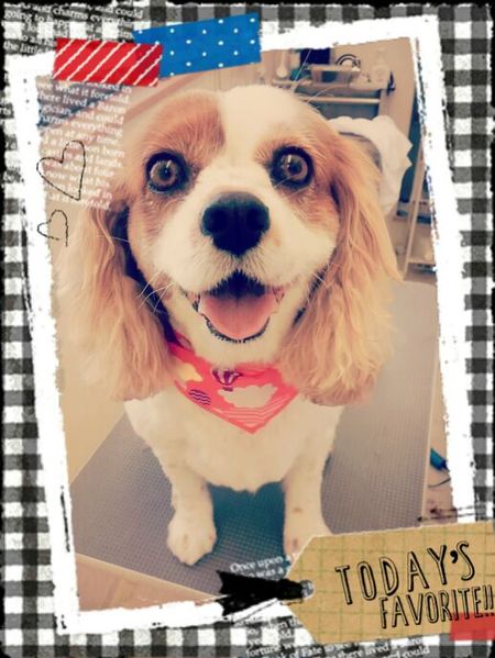 ４月２５日トリミング写真なっつ