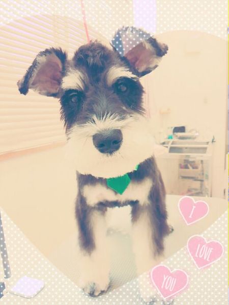 ４月２７日トリミング写真ベック