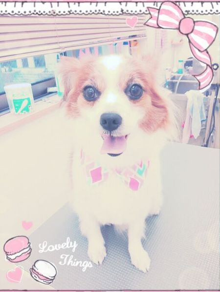 ４月２７日トリミング写真なつ