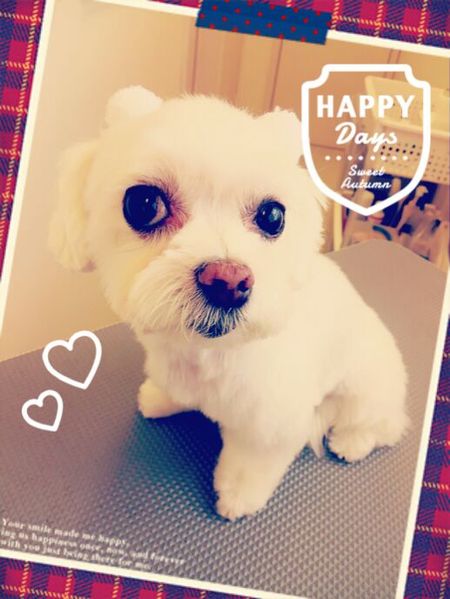 ４月２９日トリミング写真そら