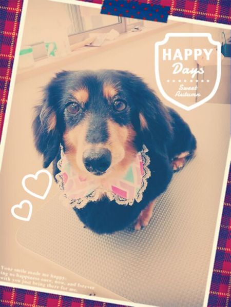 ５月２日トリミング写真ライス