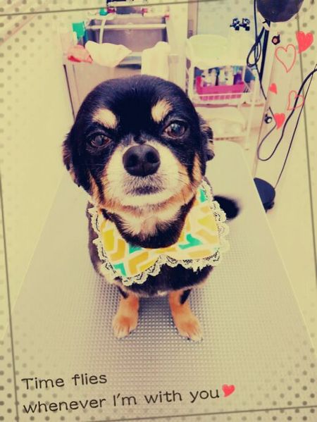 ５月３日トリミング写真こたろうのサムネイル画像