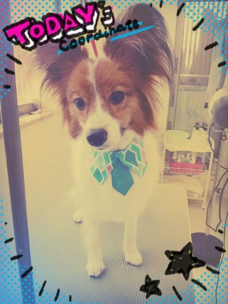 ５月６日トリミング写真レンのサムネイル画像