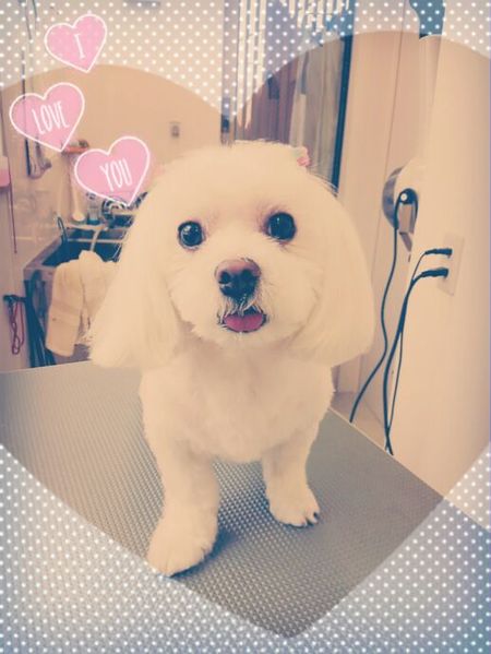 ５月６日トリミング写真レオのサムネイル画像