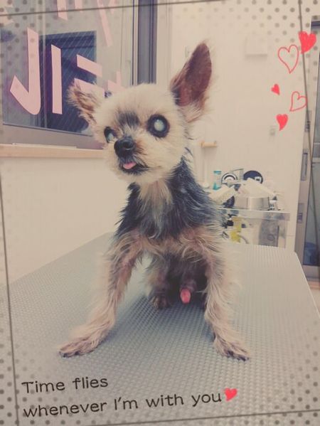 ５月６日トリミング写真ポコ