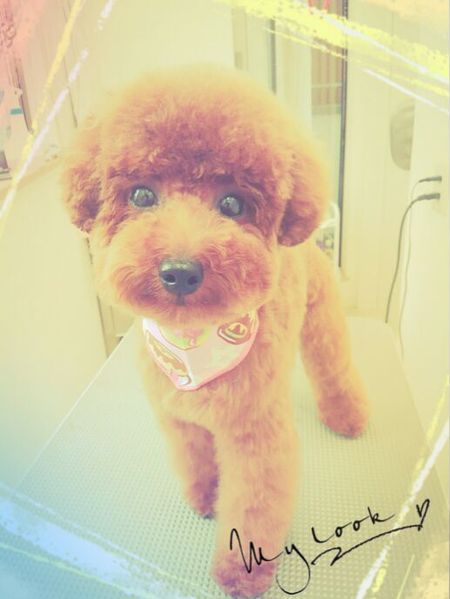 ５月９日トリミング写真モコ