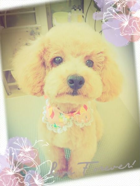 ５月１１ひトリミング写真nap