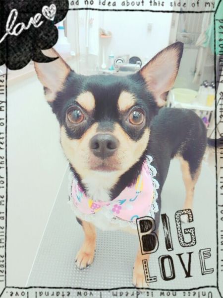 ５月１１日トリミング写真マル