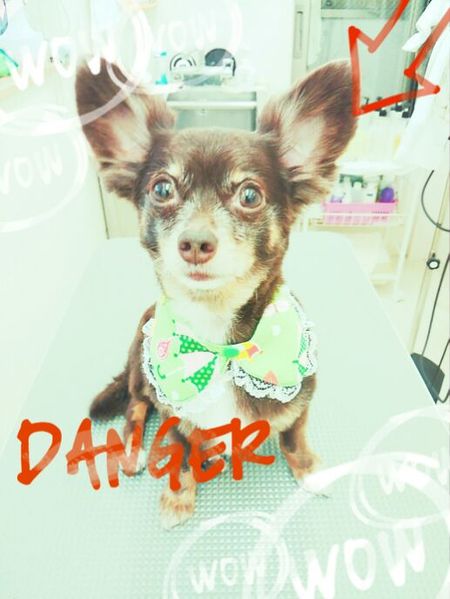 ５月１３日トリミング写真カイ