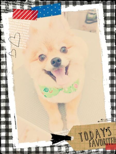 ５月１４日トリミング写真ぶん太