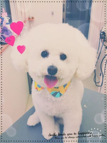 ５月１７日トリミング写真ルル