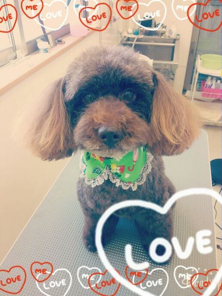 ５月１８日トリミング写真ムサシ