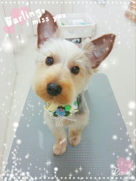 ５月１８日トリミング写真むぎ