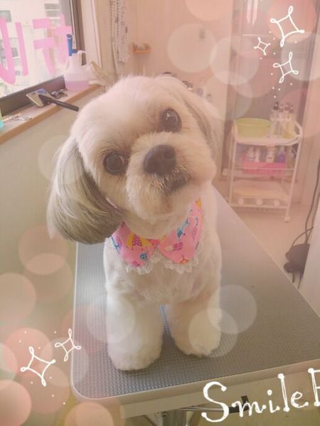 ５月２４日トリミング写真蓮