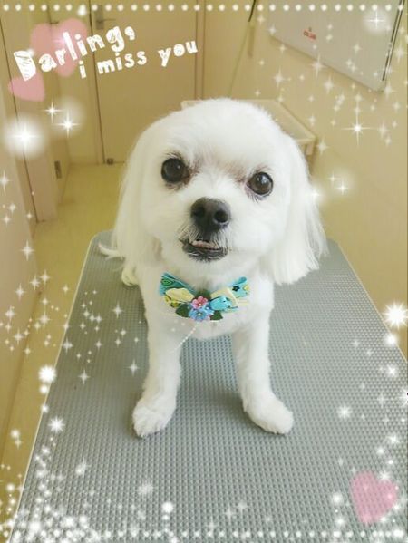 ５月２７日トリミング写真ポテト