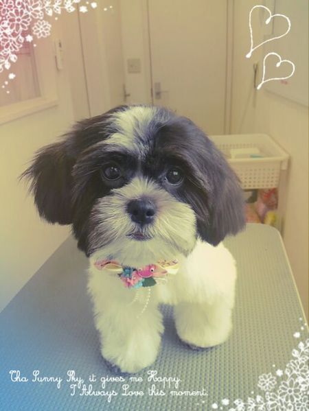 ５月２７日トリミング写真もも