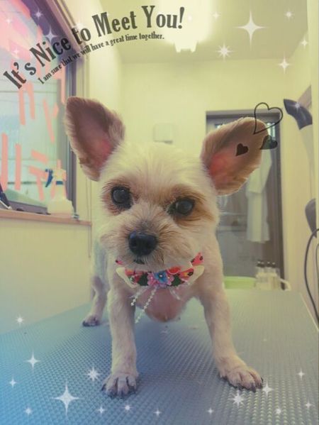 ５月２７日トリミング写真青空