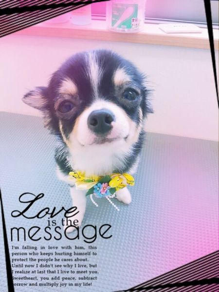 ５月３０日トリミング写真小太郎