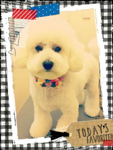 ５月３０日トリミング写真ピース