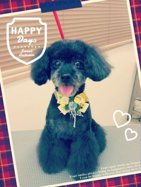 ６月３日トリミング写真ゴウ