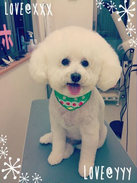 ６月６日トリミング写真ルル