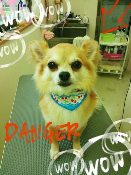 ６月７日トリミング写真しょうた