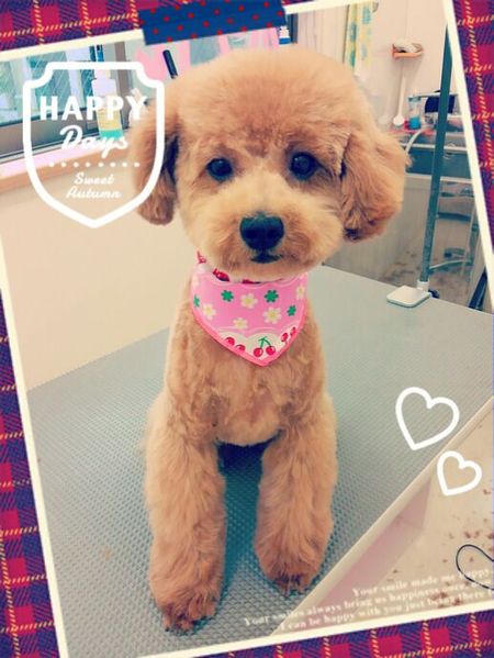 ６月１１日トリミング写真nap