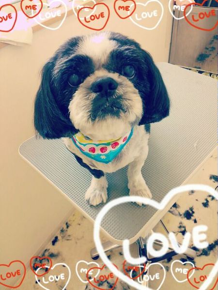 ６月１０日トリミング写真リュウ