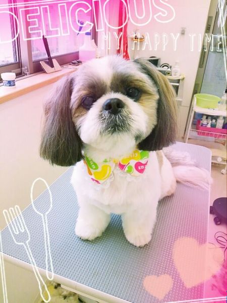 ６月１３日トリミング写真ロン