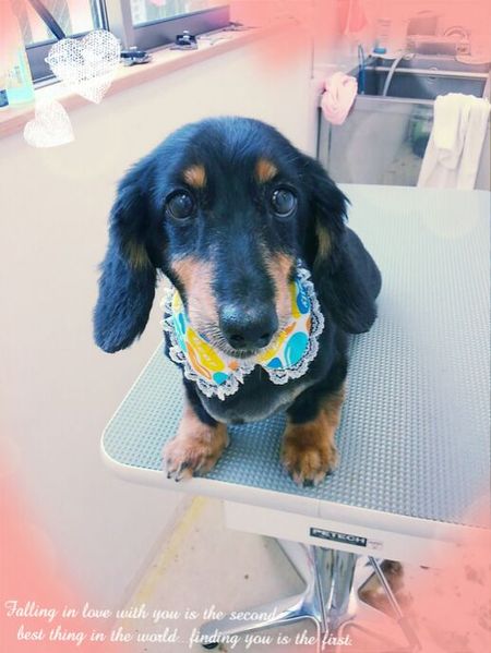 ６月１３日トリミング写真ユウ