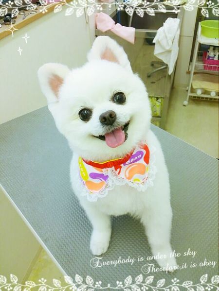 ６月１３日トリミング写真レナ