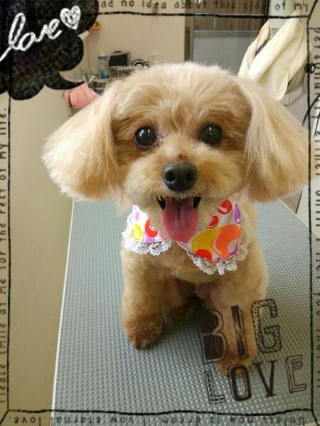 6月１４日トリミング写真ポポロン