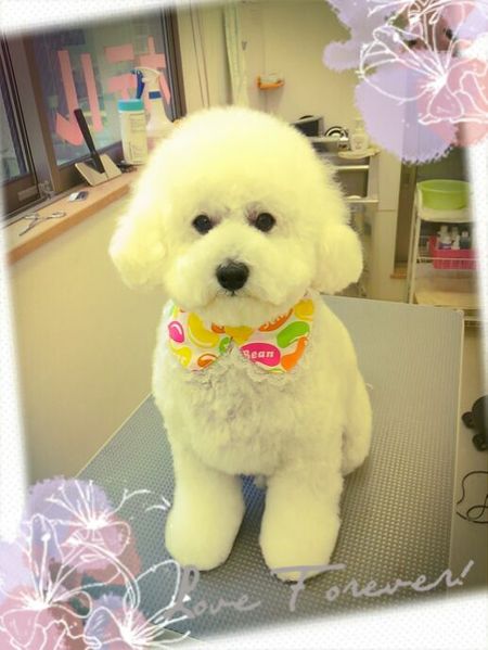 ６月１４日トリミング写真ピース