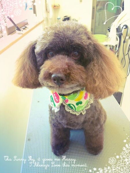 ６月１７日トリミング写真ムサシ