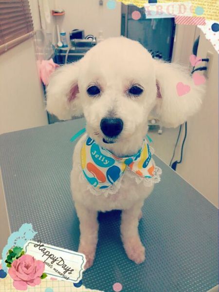 ６月１８日トリミング写真ジャック