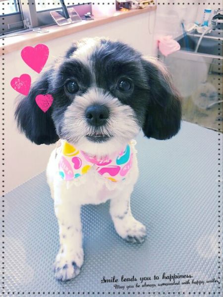 ６月２１日トリミング写真もも