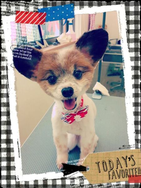 ６月２８日トリミング写真くるみ