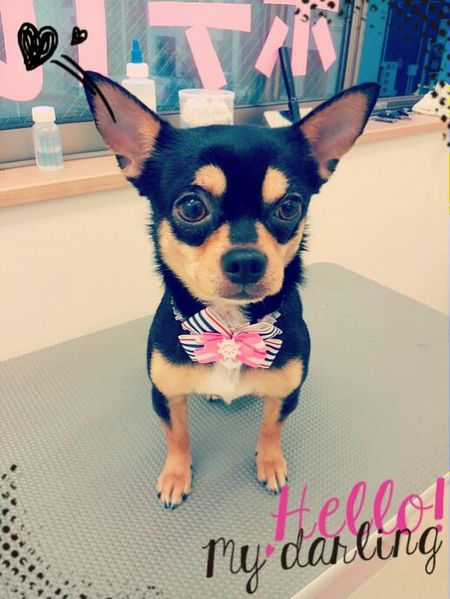 ６月２８日トリミング写真マル