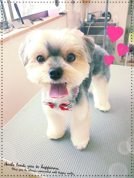 ７月１日トリミング写真うめ子