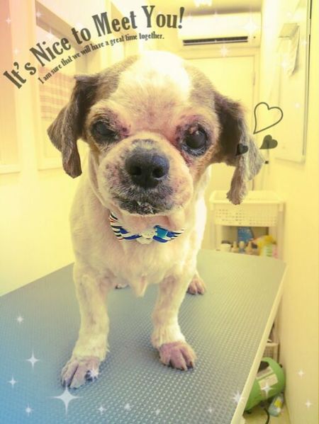 ７月１日トリミング写真ユウ