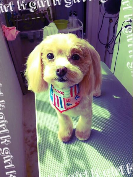 ７月２日トリミング写真くぅ