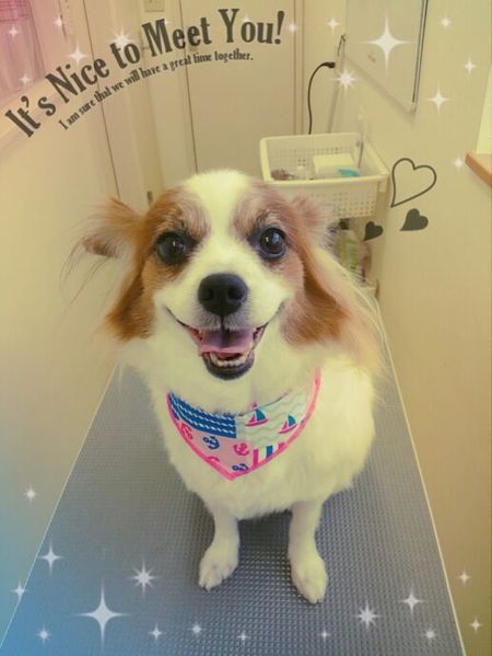 ７月４日トリミング写真なつ