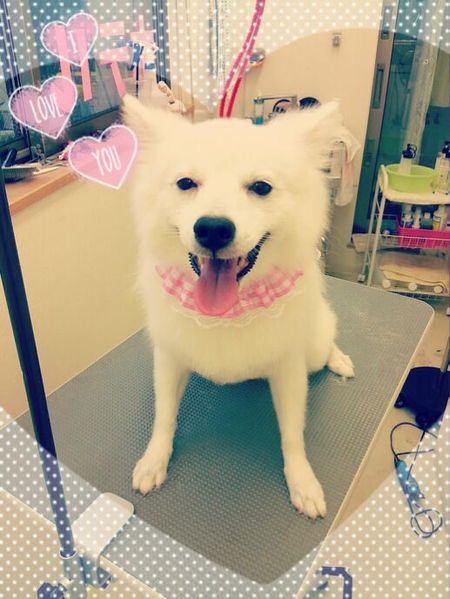 ７月５日トリミング写真もも