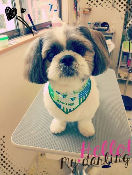 ７月６日トリミング写真ロン