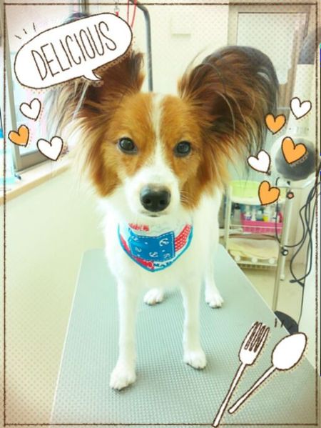 ７月６日トリミング写真レン